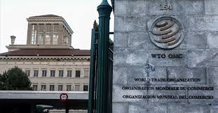 Dünya Ticaret Örgütü, küresel ticarette bu yıl için büyüme