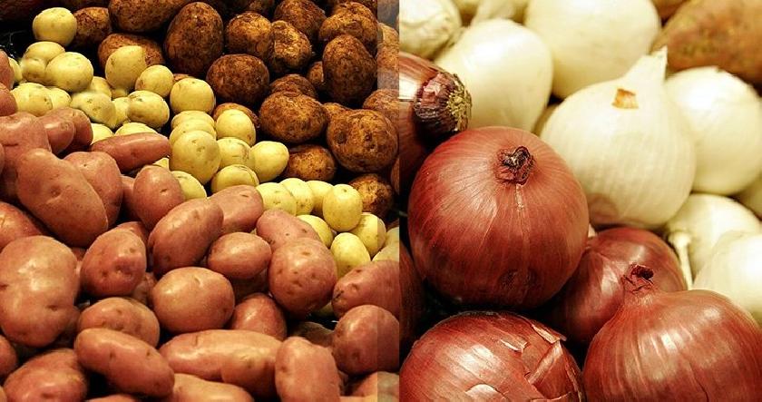 PATATES VE KURU SOĞAN İHRACATINA KISITLAMA