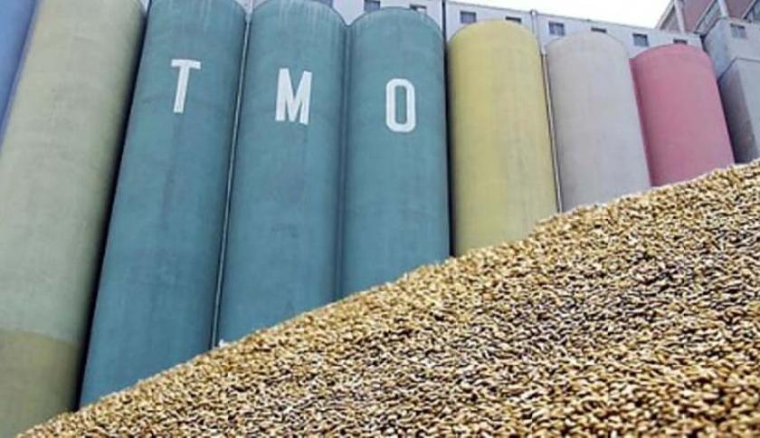 TMO DÖRTYÜZ ELLİBEŞ BIN TON EKMEKLIK BUĞDAY ITHALATI IHALESI AÇTI