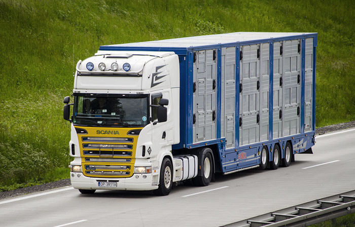 Eğitim Danışmanlığı